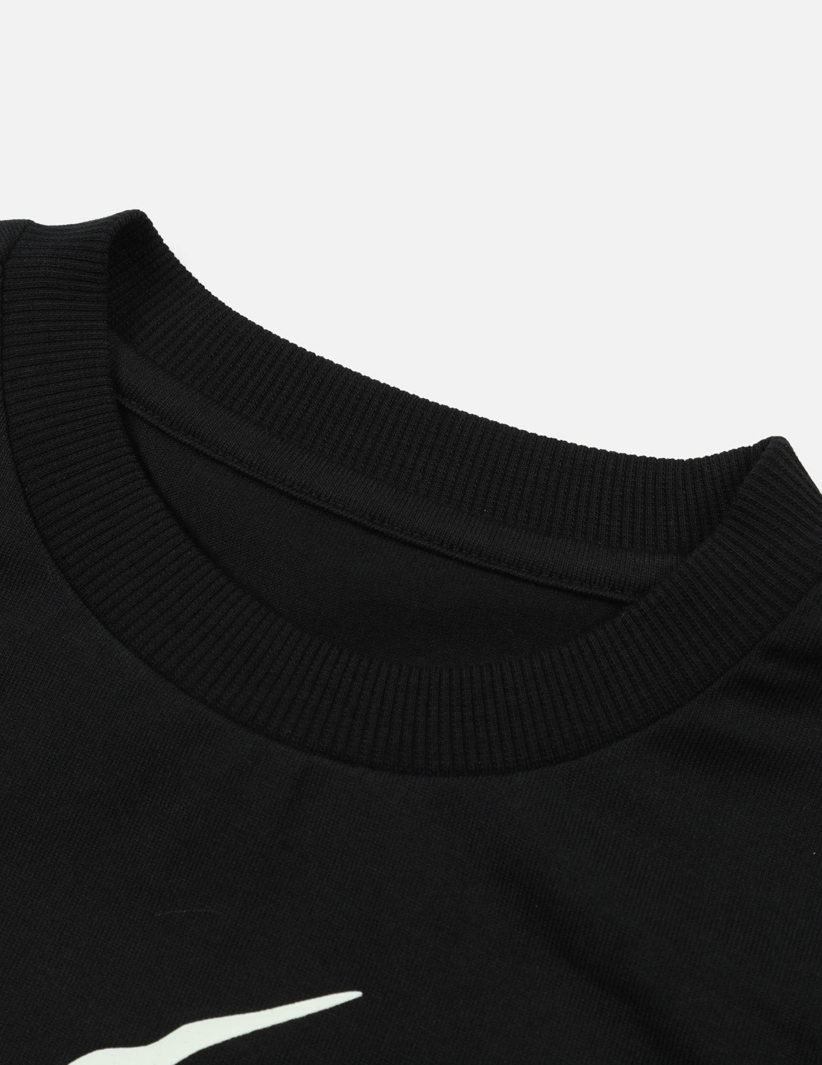 Dinosaur Bear Print Regular Fit T-shirt