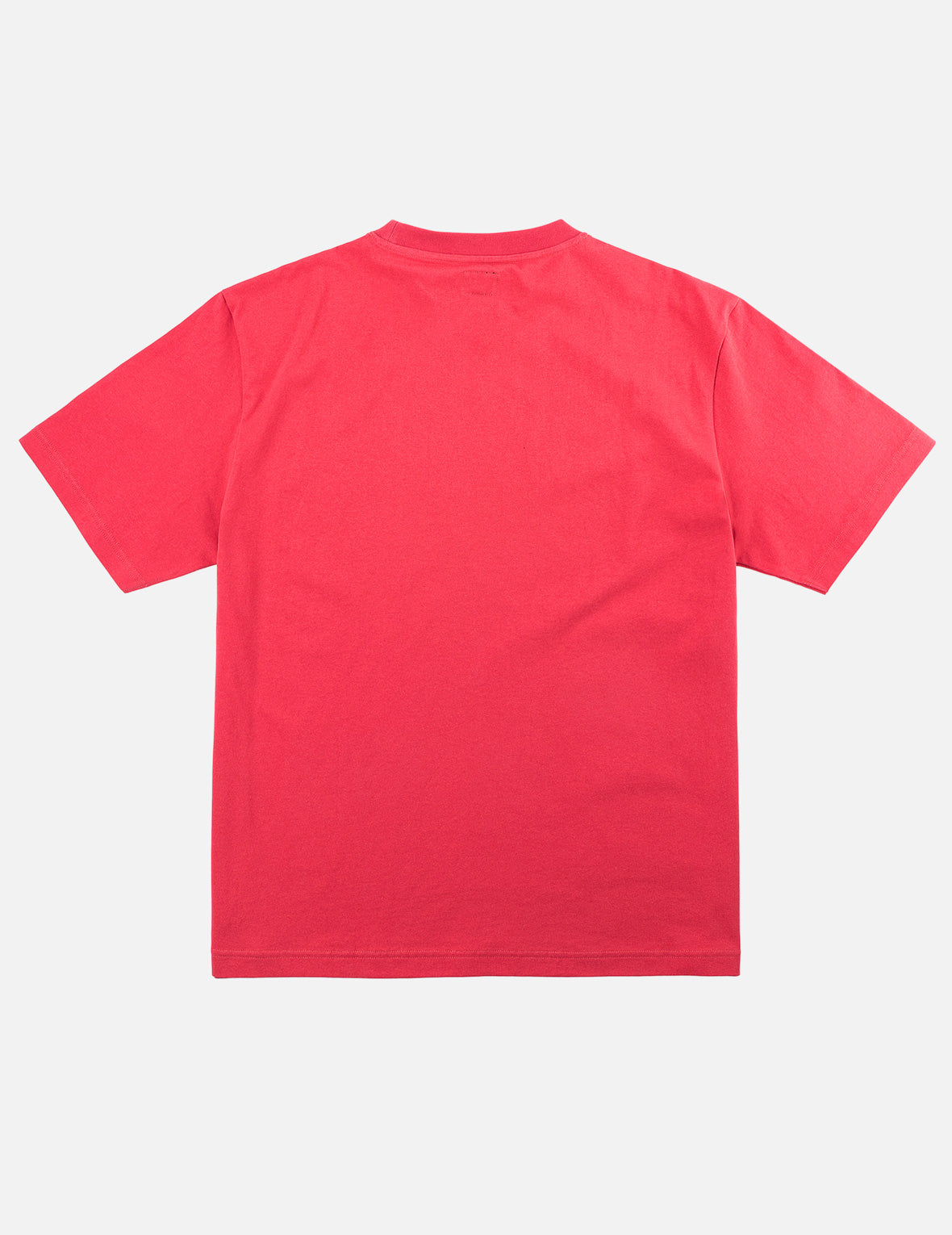 Tiger EVISU T-Shirt