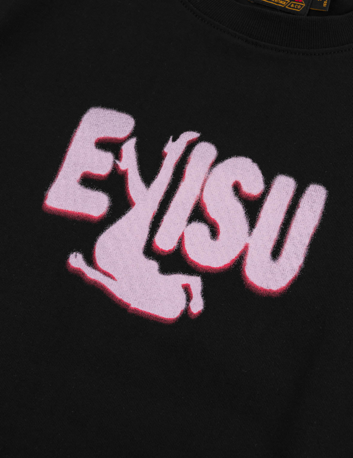Two-Tone EVISU Logo Silhouette Print T-Shirt