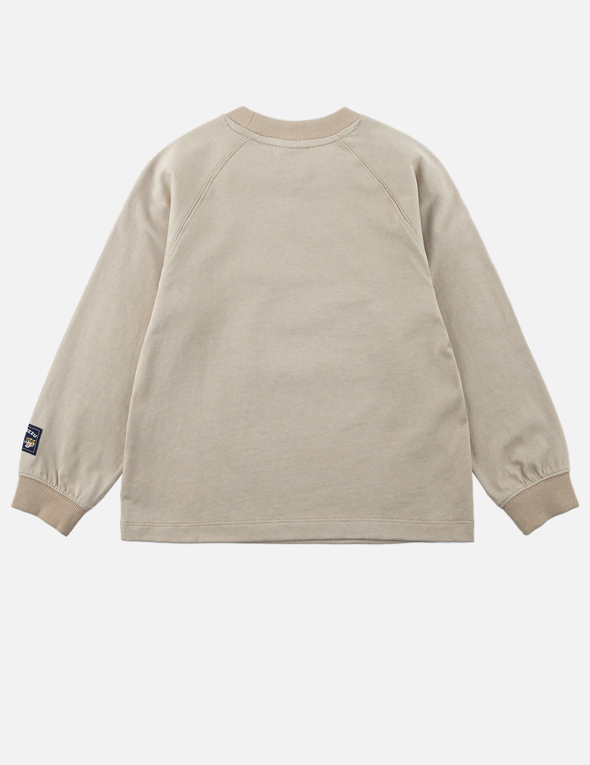 Tiger Skateboard Long-Sleeve T-Shirt