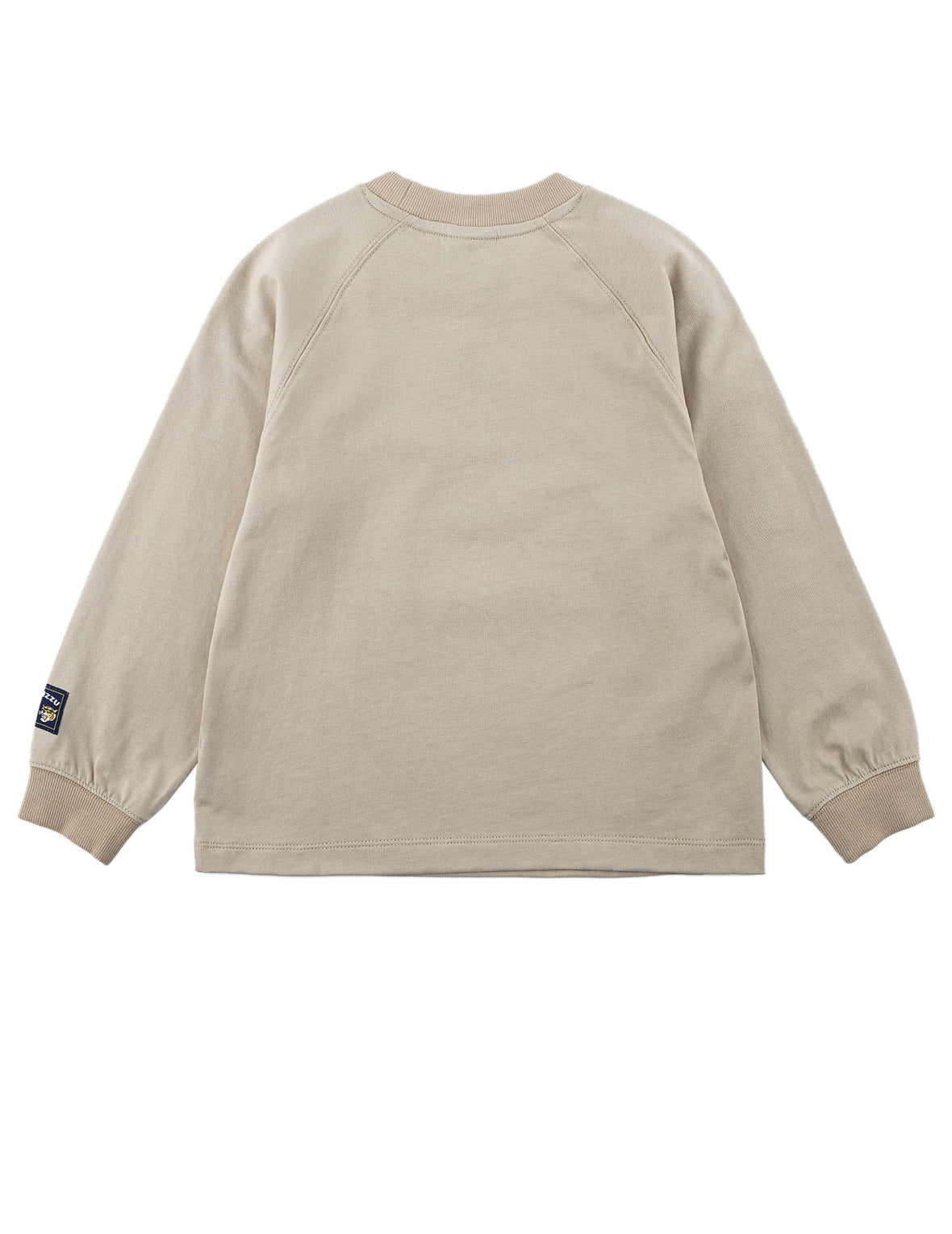 Tiger Skateboard Long-Sleeve T-Shirt