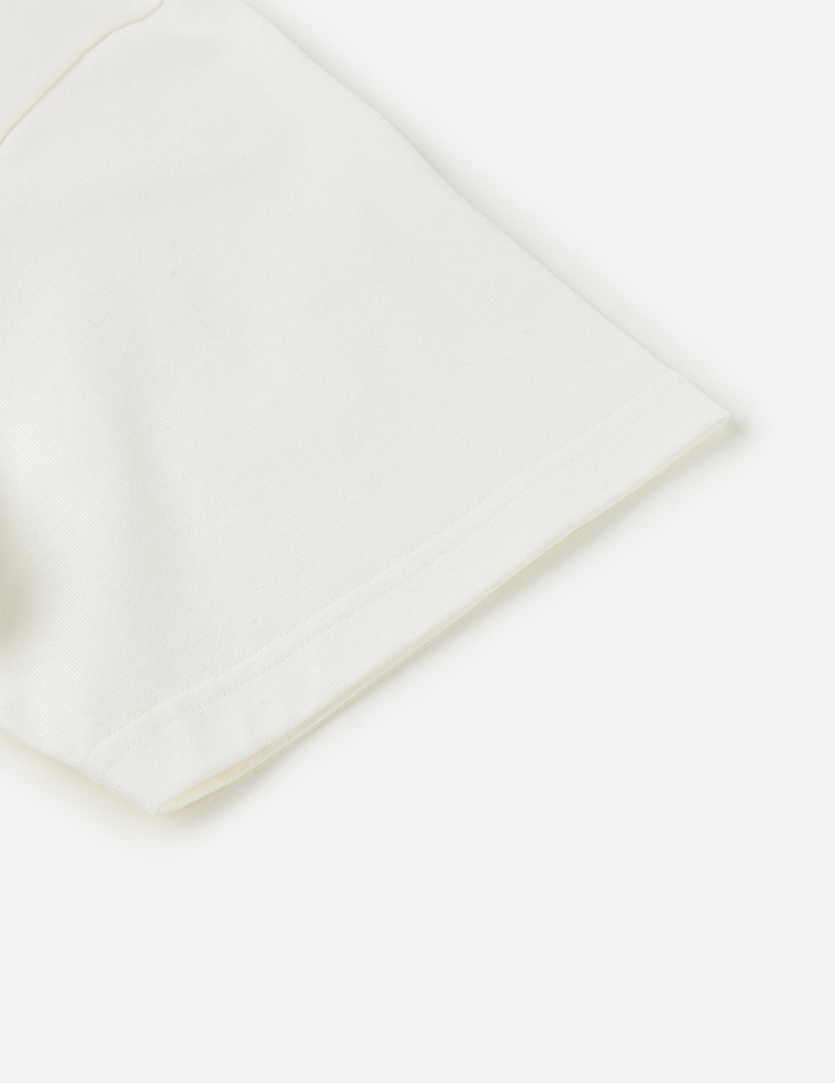 Hand-Brushed Seagull Print T-Shirt
