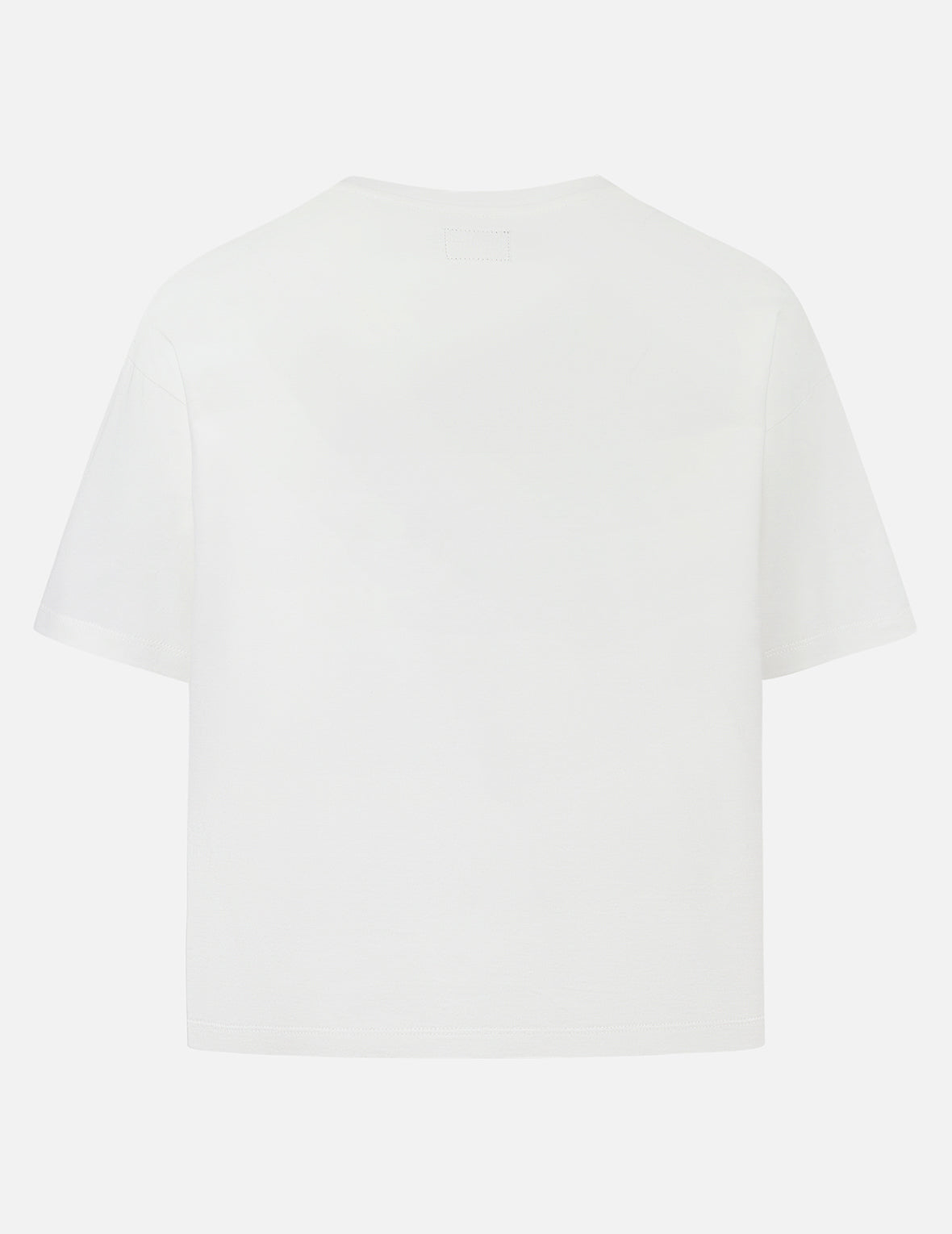 Seagull and Hummingbird Print Cropped T-shirt