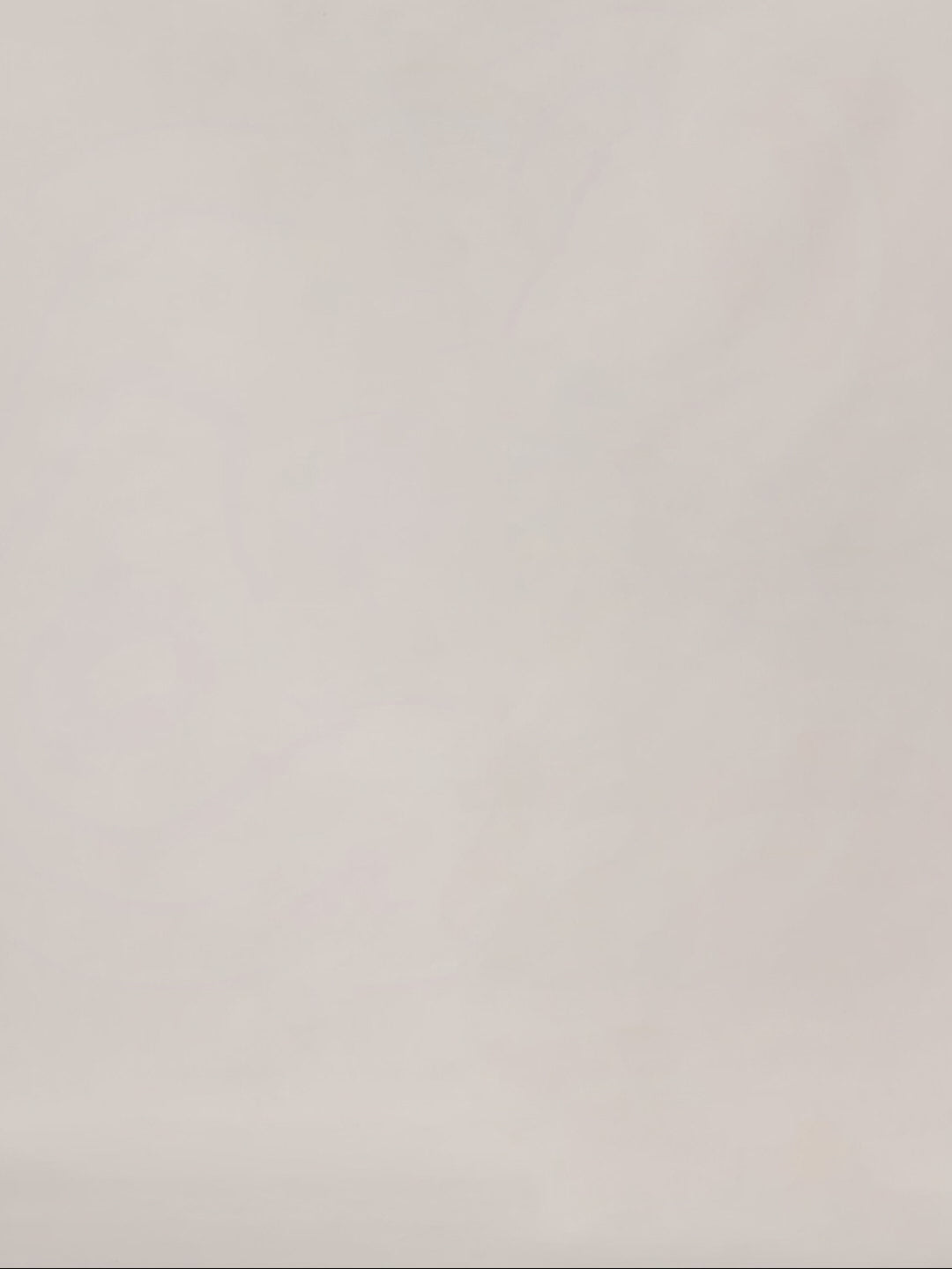 2ESEJM6TS6133LFCT-WHTX