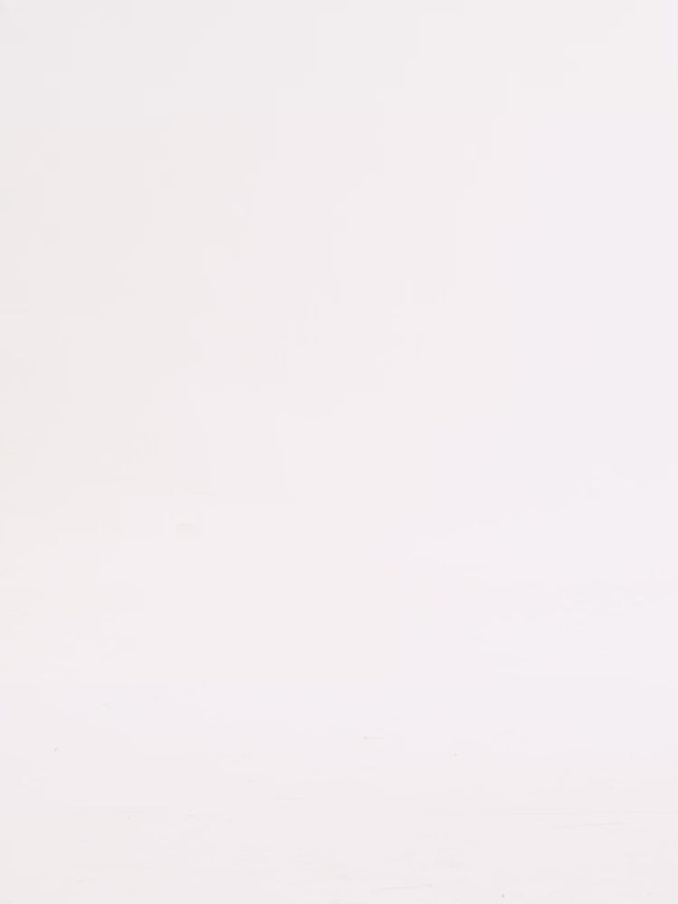 2ESHTM3PT191RXCT